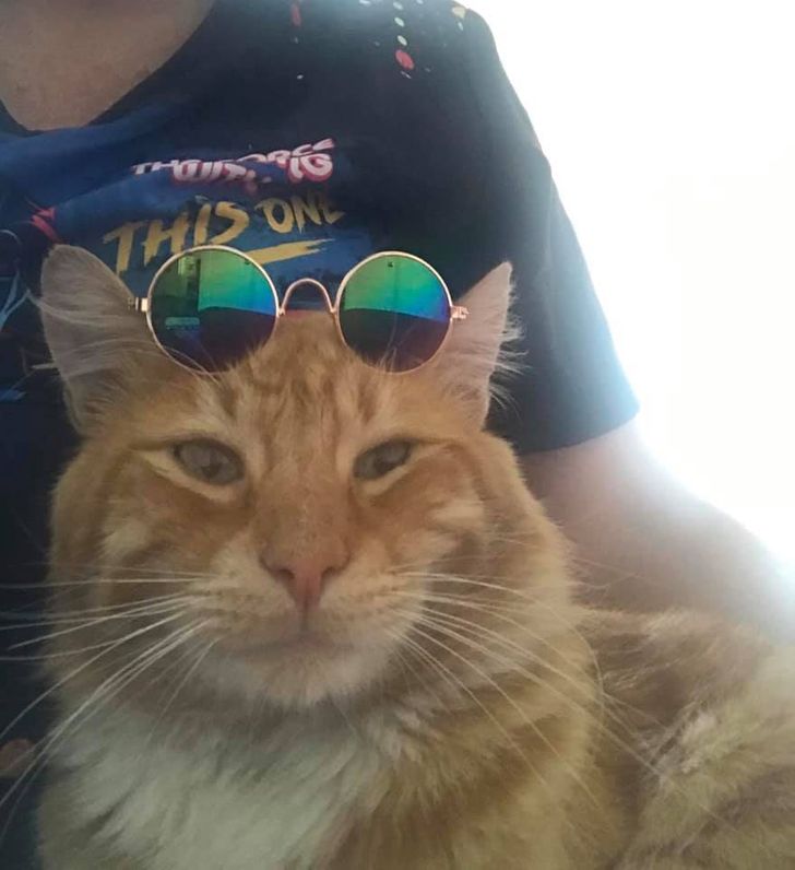 c871ec5b568a80e118fb56c3fb