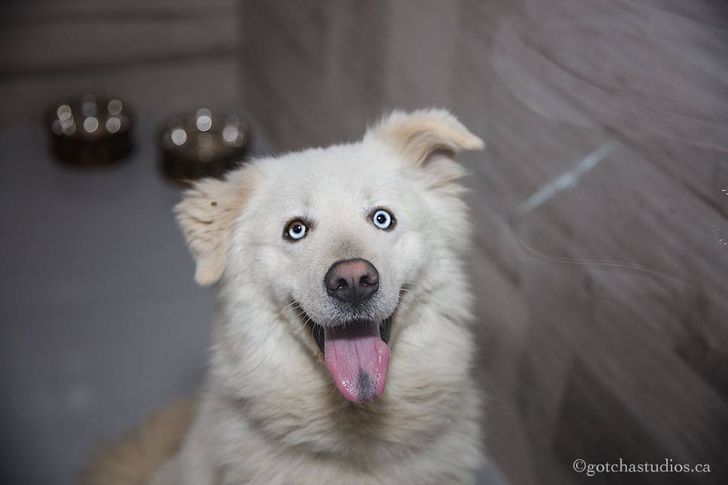 c876f05cd088acb83a493b3939