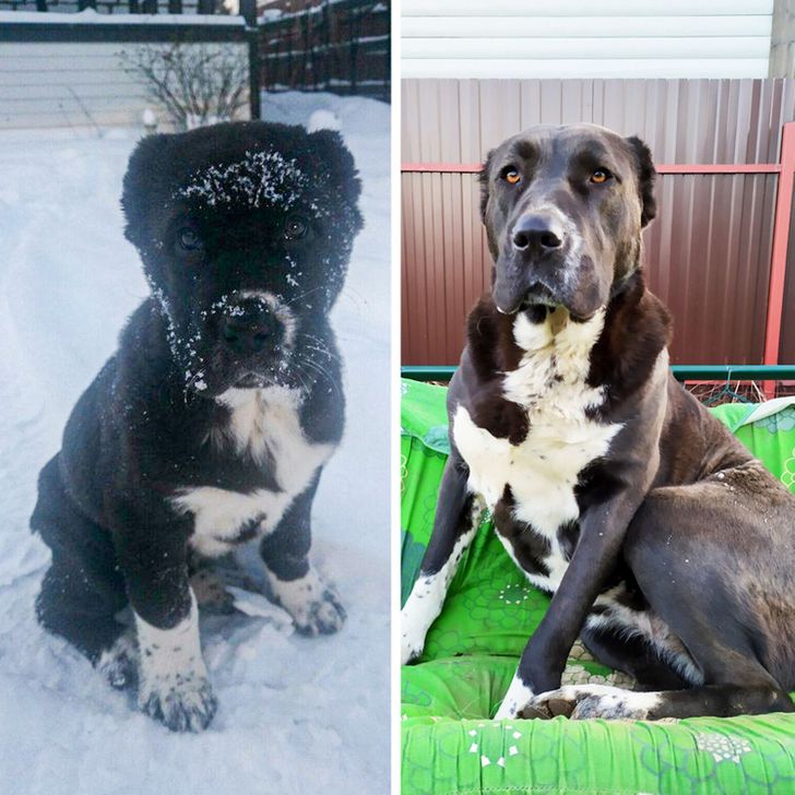 c87dd95a3094255b26216a4c6d