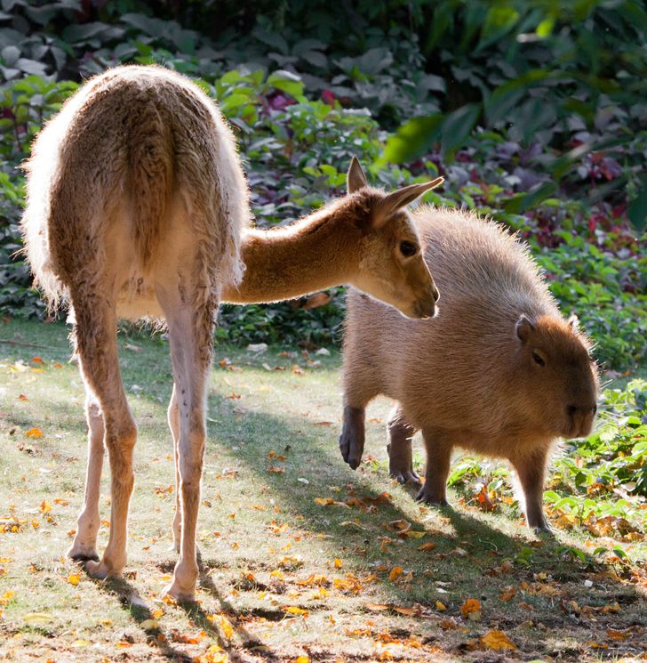 c8803f580da7180cbbb1a1a253