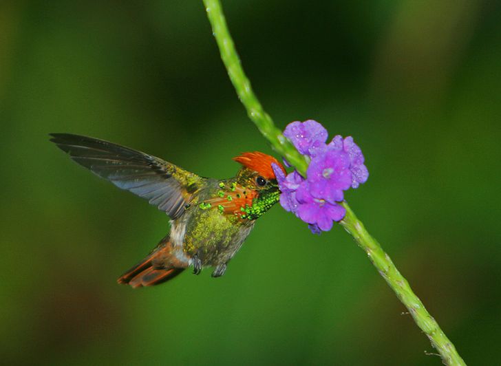 c886c0536baf30407a23ea3fa9