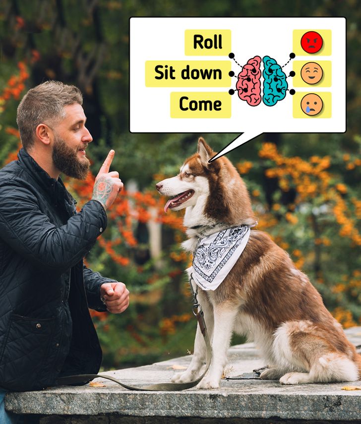 c88ad35bce9fedd4df5e767005