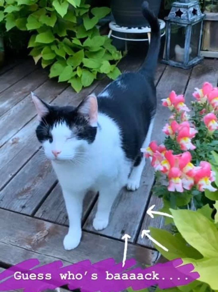 c897ee56c88e75e4f26c0dd509