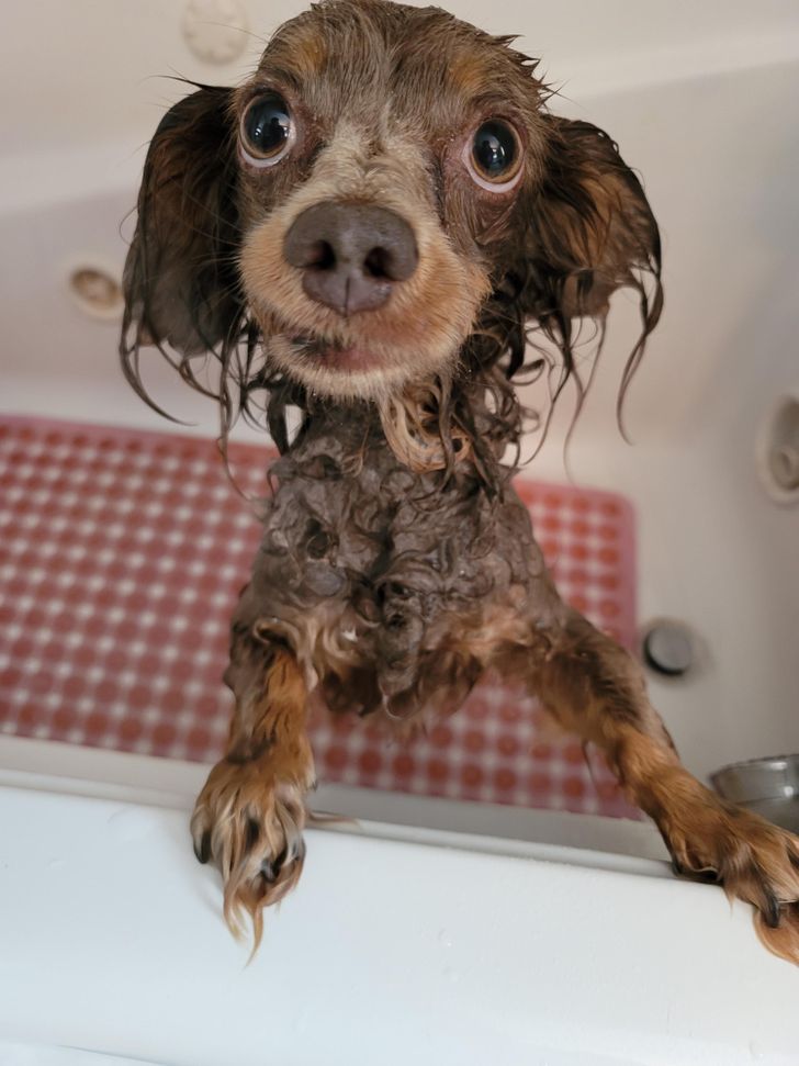 c899d05db29f23dc461975ce98