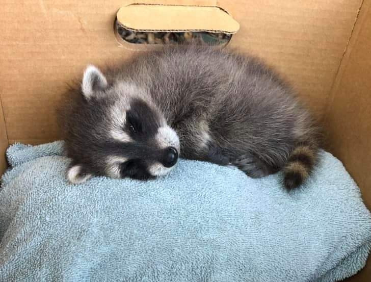 c89c1557809d021ffd94effc89