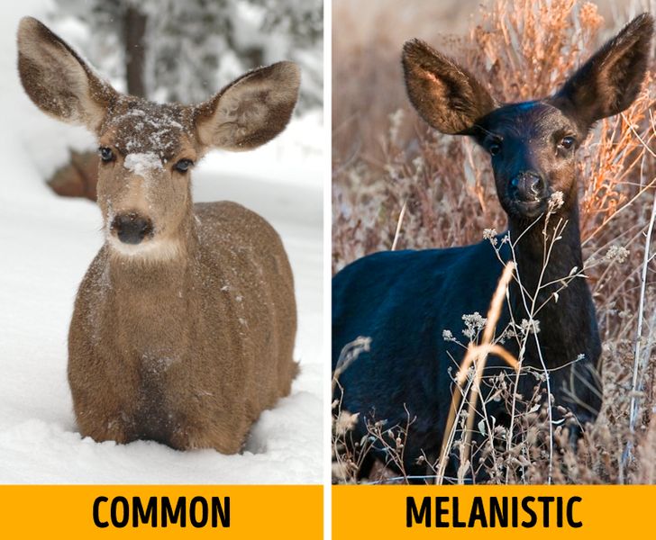 c8a76654e8b9a10dbd8c921d9b