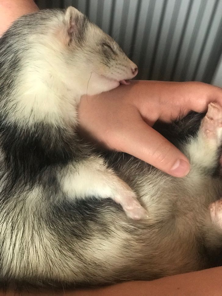 c8a9ed5cbc898e8a52fdd0dc87