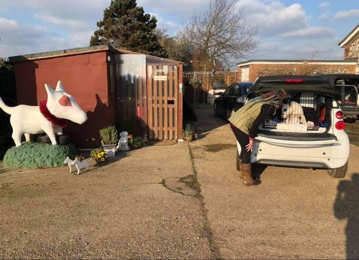 c8ab275611b8323818403acbf7