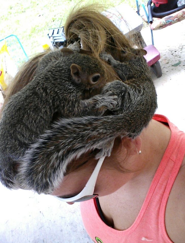 c8b0ba57f0b34ad6a936b246d6