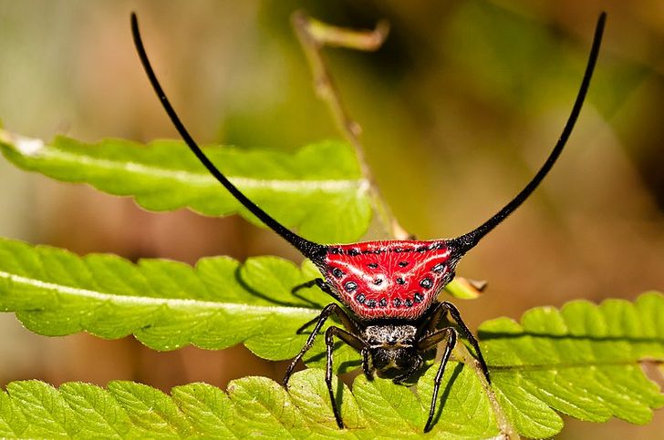 c8b2ca51d790fbe4e5b23c252f