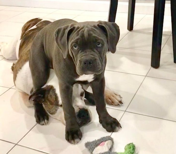 c8b54a530585f38899899b3020