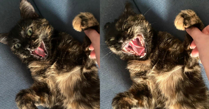 c8b9515bbfacb8c5f94abd25e5