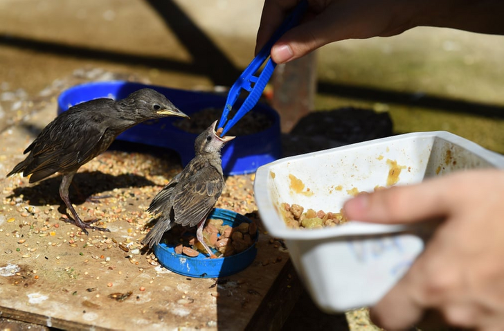 c8bee35ecab8d31c703987666d