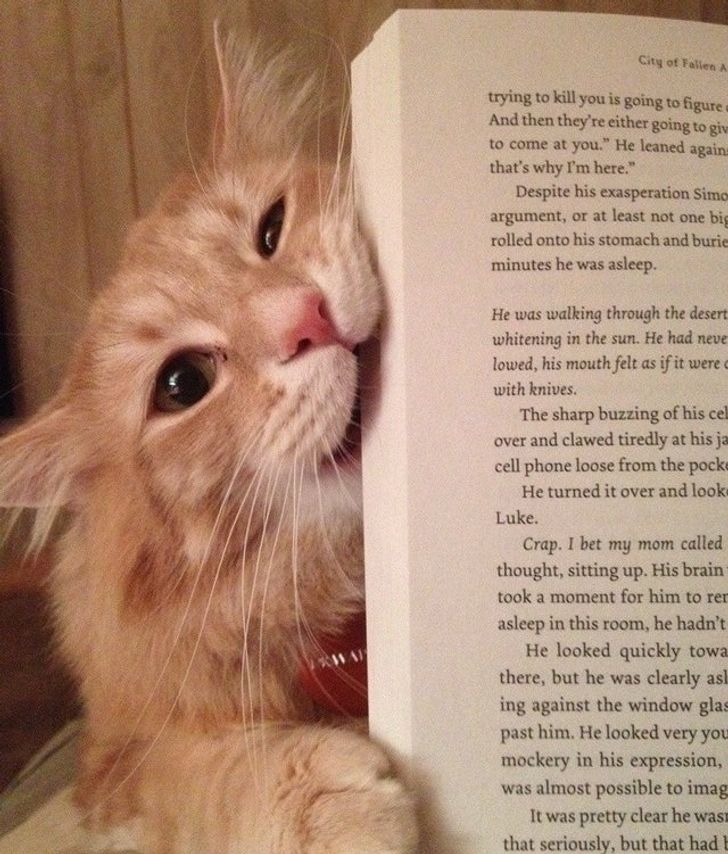 c8c13b5dc6a9244491f66db487