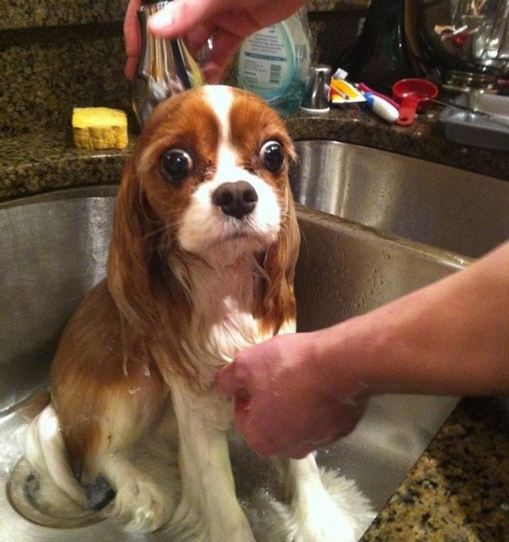 c8c8f550a3bbddf37b8d750701