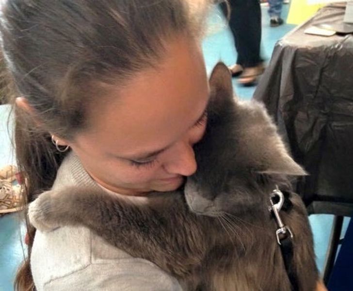 c8d354535c823d017acf5baa23