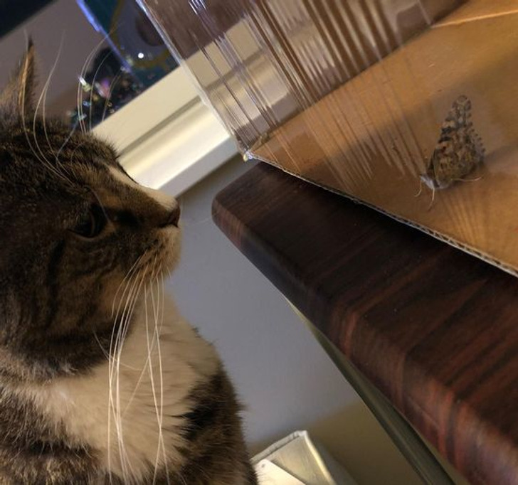 c8d543554e8c61e32fba2815a6