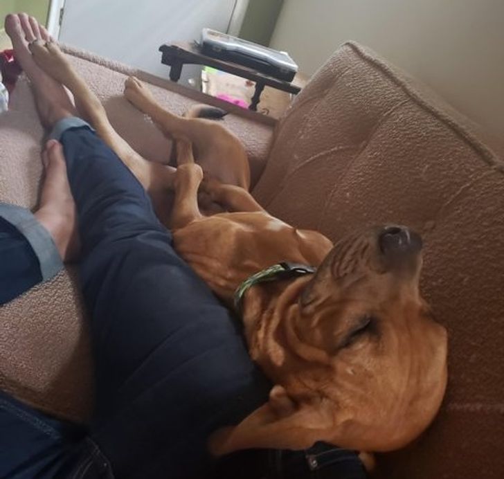 c8d5715d689d6628ad369a199b