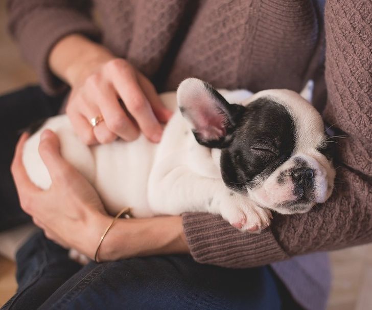 c8d6a25c5ea9ee6916d0756a90