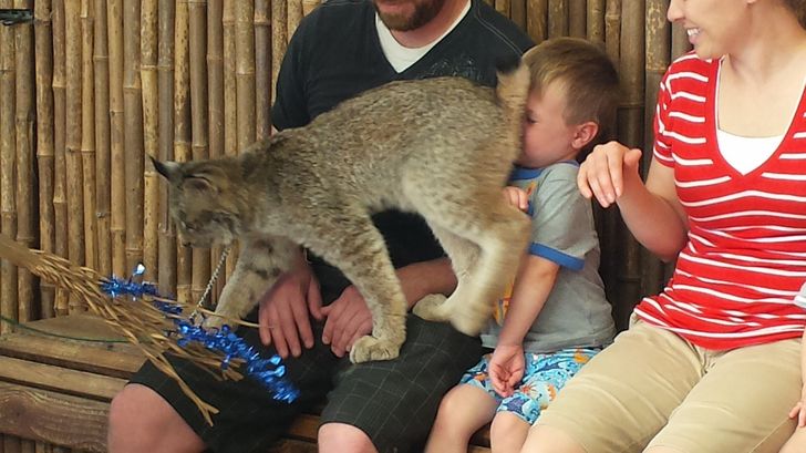 c8d7715c87bb391d7cb9f4e9e9