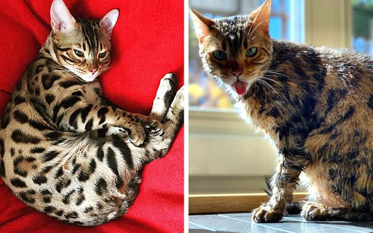 c8df9f58c7a0aeff33970f58c5