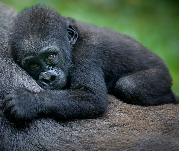 c8e8ae5a77ad245cd4bf0f9adc