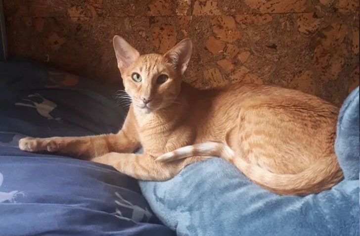 c8ea6b58ecbf1b436ded700861