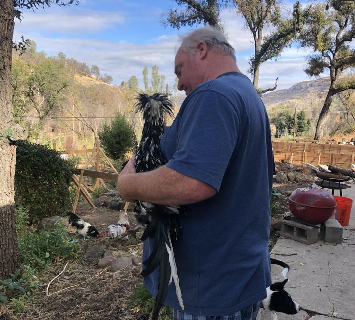 c8ebac5dd6aee280d924b3fd31