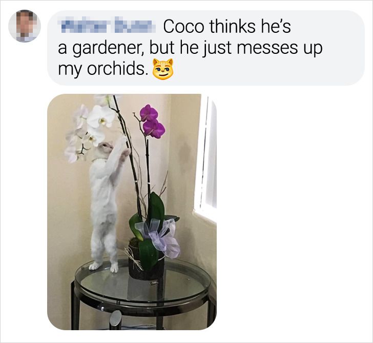 c8f158593ab153da7727937759