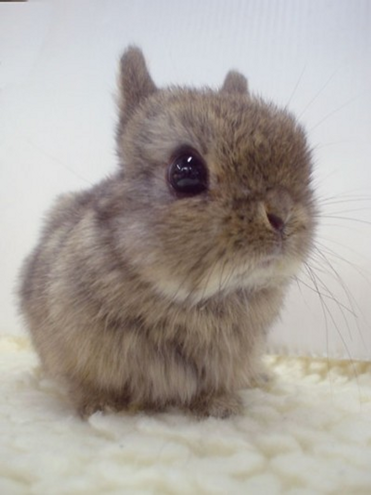 c8f939548494d45ec1bce5ff97