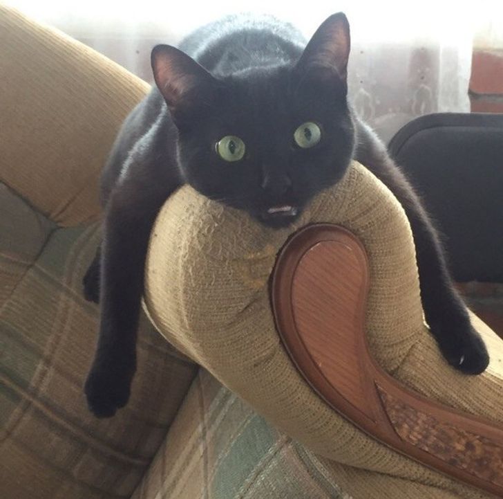 c904485ba7a597b7553b13d802