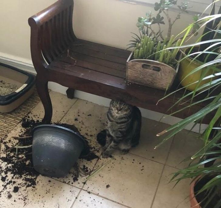 c91028560b84699d3eba799649