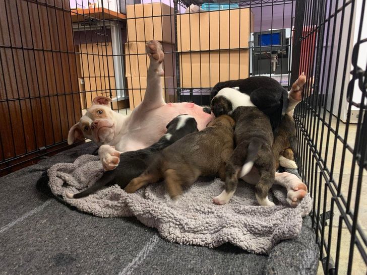 c9111b52919c2230e57af52733