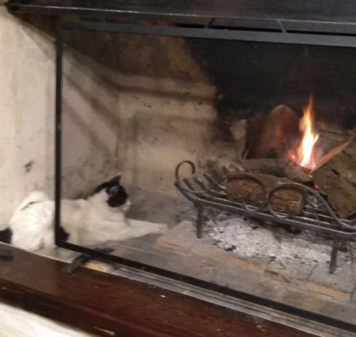 c9152a53cd8b31bc1cdbe10e7d