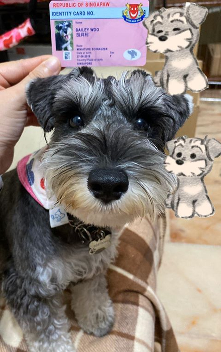 c917845fb495004325f57e09aa