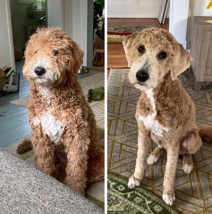 c91a305336b46be1a077915c14