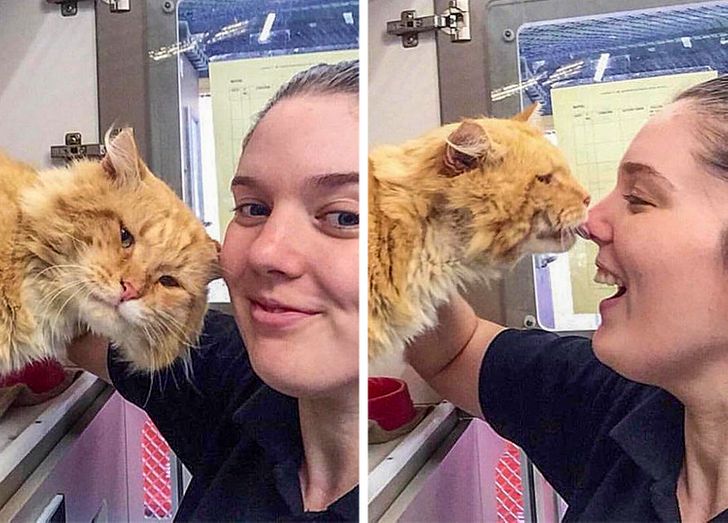 c91e4a550189565481667def2e