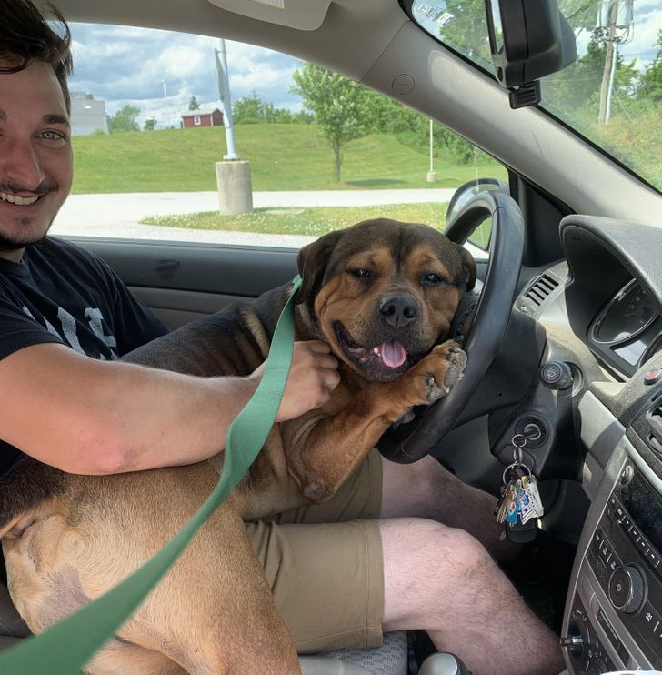 c91e945e3c844c979c47fd45bb