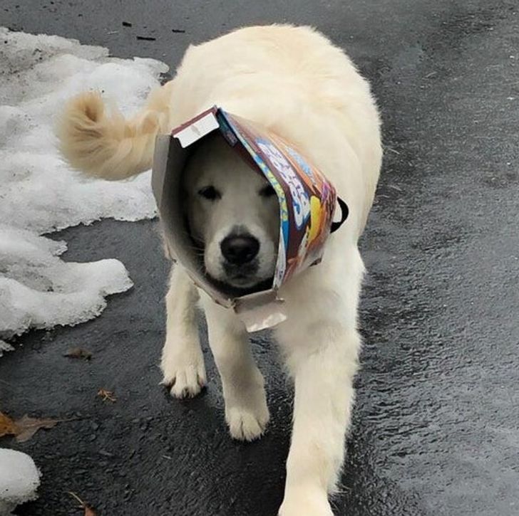 c9211b5700907ce2a871af68ef