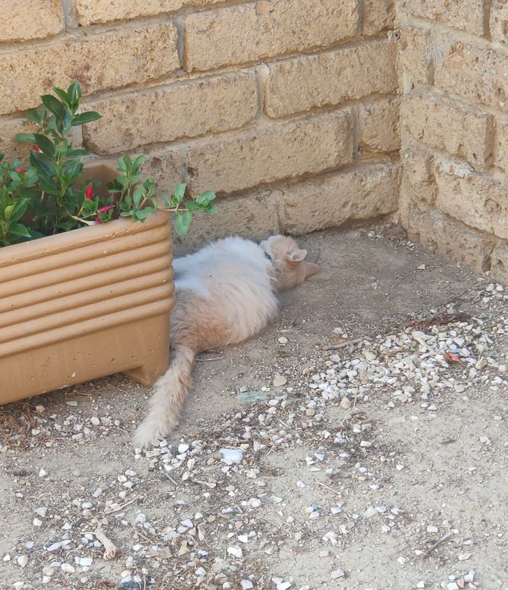 c924605202b4f2164d946c0e09