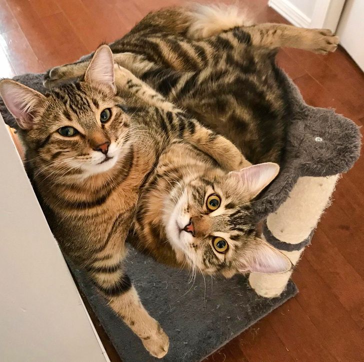 c92d815b0c99b83c2ac56db27d c92d815b0c99b83c2ac56db27d