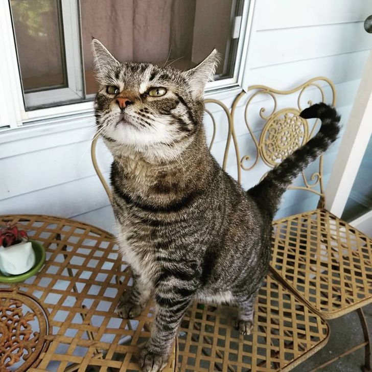 c9374c5cff847d858aa94e6a2b