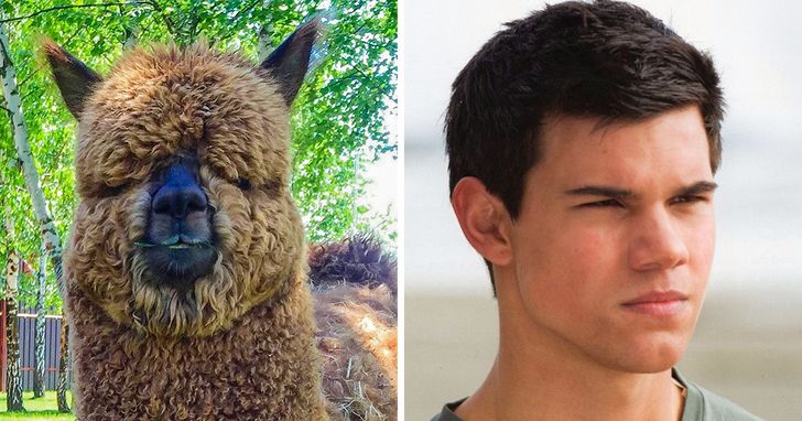 c93c9354388ad15b8f1470fcdc