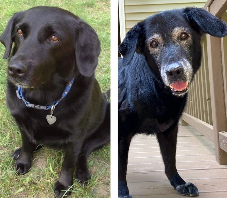 c946155a94a431b3f381ba5c9c