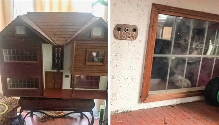 c94af258e8bb2d7e1766e29659