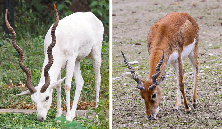 c94f7d5228a4daa4e8a4b6d83b