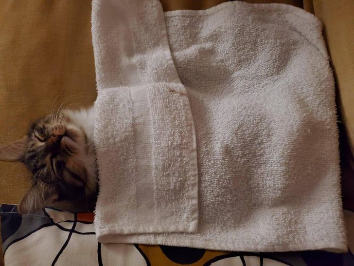 c950e75cbea48c483134deecc3