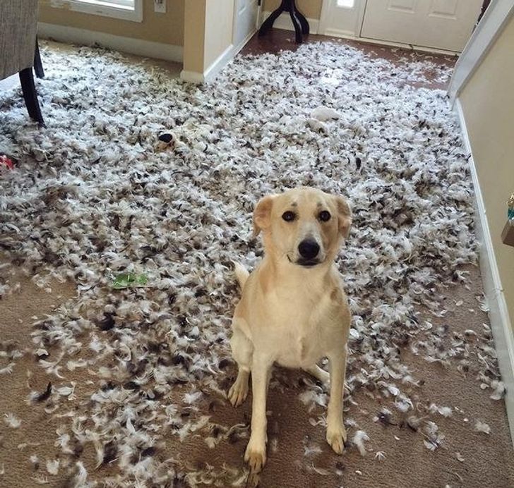 c955a955a9b1873cceabe754ca