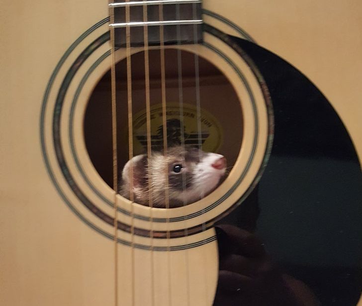 c955ee55539e7982d07548a1b0