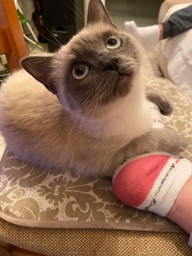 c957be5f219282f2505efdcf91